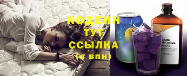 молекула духа Вяземский