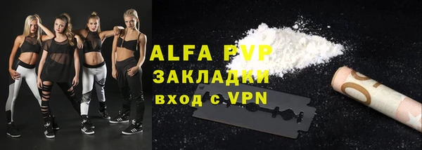 амф Горняк