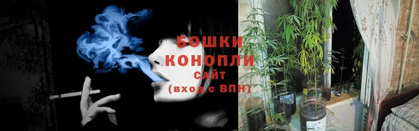 молекула духа Вяземский