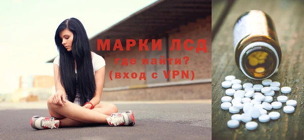 молекула духа Вяземский