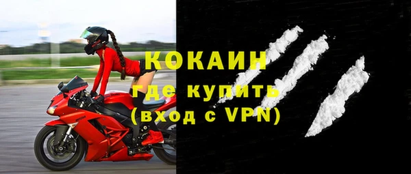 молекула духа Вяземский