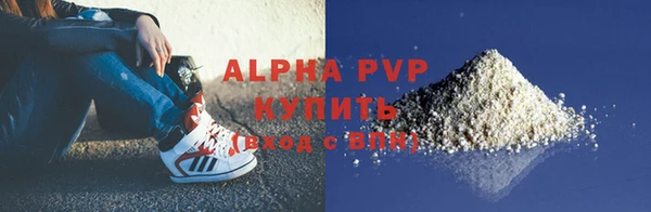 молекула духа Вяземский