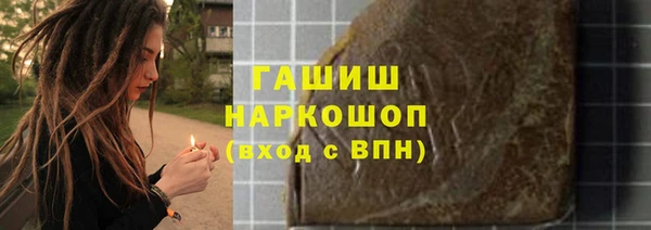 молекула духа Вяземский