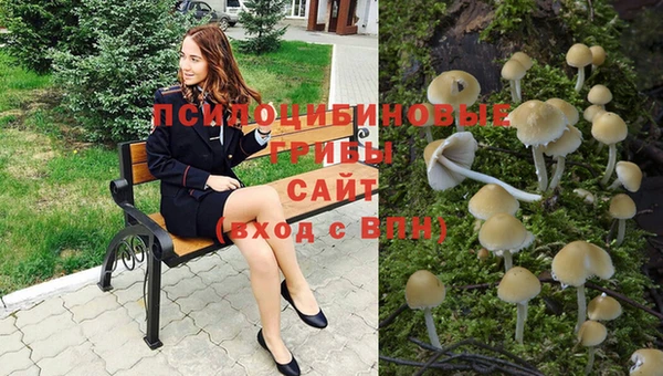 2c-b Горно-Алтайск