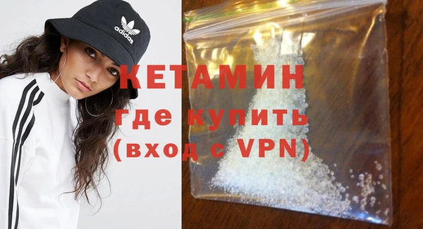 молекула духа Вяземский