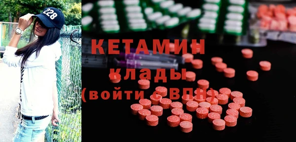 молекула духа Вяземский