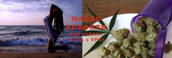 молекула духа Вяземский