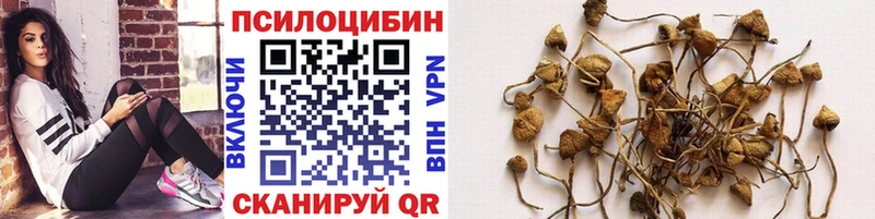 МЕГА рабочий сайт Чишмы Псилоцибиновые грибы MAGIC MUSHROOMS